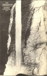 The Underground Waterfalls, Secret Caverns Howes Cave, NY Postcard Postcard