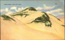 Sand Dunes Postcard