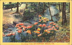 Greetings From Le Contes Mills Postcard