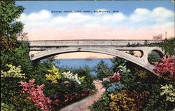 Ravine Drive, Lake Park Postcard