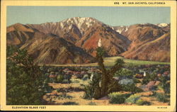 Mt. San Jacinto Scenic, CA Postcard Postcard