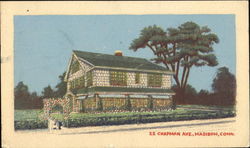 Chapman Ave Madison, CT Postcard Postcard