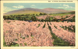 Stock #97344 Thumbnail