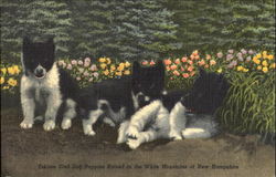 Stock #97427 Thumbnail