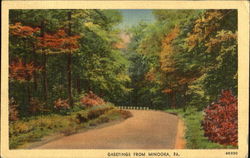 Greetings From Minooka Pennsylvania Postcard Postcard