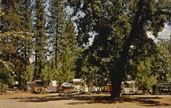 Antlers Trailer Resort Lakehead, CA Postcard Postcard