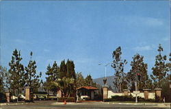 Rossmoor's Leisure World Postcard