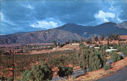 Yucaipa California Postcard Postcard