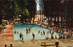 Loch Lomond Resorts Pool California Postcard Postcard