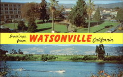 Greetings From Watsonville California Postcard Postcard