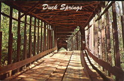 Duck Springs Covered Bridge Keener, AL Postcard Postcard