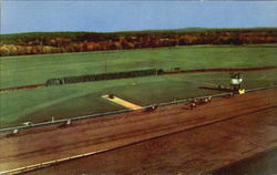 Rockingham Park Postcard