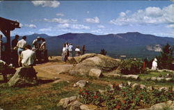 View From The Summit Of Mt. Cranmore Postcard