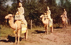 The Three Wise Men, U. S. Route 2 Jefferson, NH Postcard Postcard