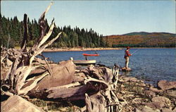 Connecticut Lakes Pittsburg, NH Postcard Postcard