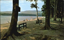 Scenic View Along The Beach, Newfound Lake Bristol, NH Postcard Postcard