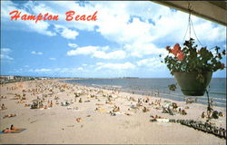 Hampton Beach New Hampshire Postcard Postcard