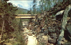 Sentinel Pine Bridge, Franconia Notch Postcard