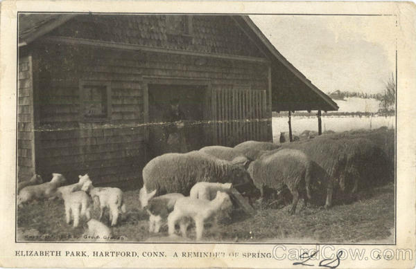 Elizabeth Park Hartford Connecticut