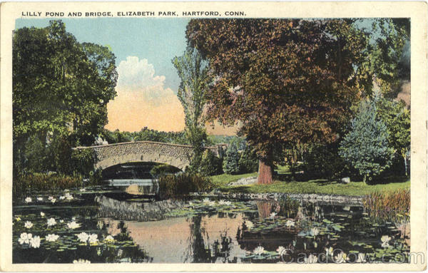 Lilly Pond And Bridge, Elizabeth Park Hartford Connecticut