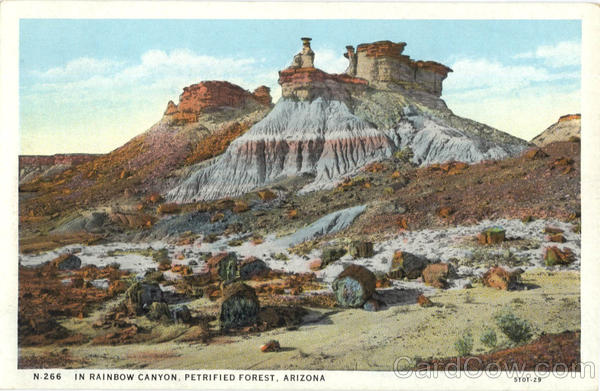In Rainbow Canyon, Petrified Forest Scenic Arizona