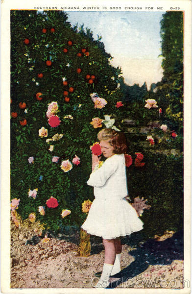 Southern Arizona Winter is Good Enough for me Scenic