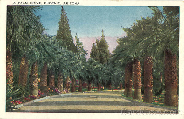 A Palm Drive Phoenix Arizona