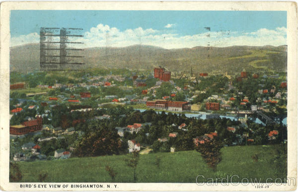 Bird's Eye View of Binghamton New York
