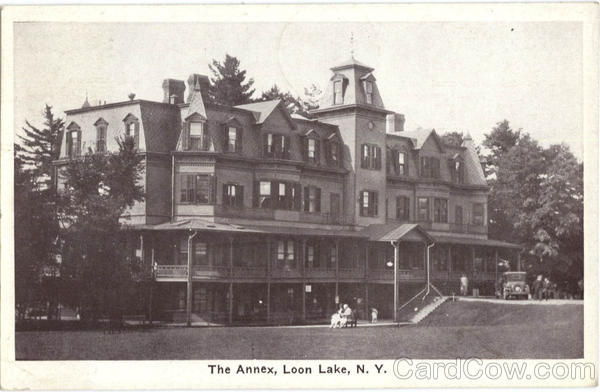 The Annex Loon Lake New York