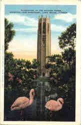 Flamingoes At The Singing Tower, Mountain Lake Sanctuary Postcard