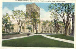 The Payne Whitney Gymnasium, Yale University Postcard