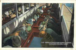 Viewing the Submarine Gardens Postcard