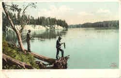 Trout Fishing on the Yellowstone Yellowstone National Park, WY Postcard Postcard