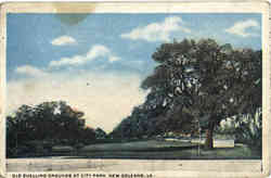 Old Duelling Grounds At City Park Postcard