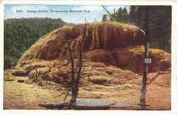 Orange Geyser Postcard
