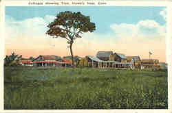 Cottages showing Tree Postcard