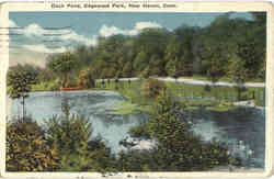 Duck Pond, Edgewood Park New Haven, CT Postcard Postcard