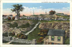 Stock #16373 Thumbnail