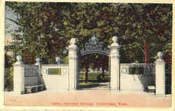 Gate, Harvard College Postcard