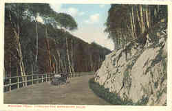 Mohawk Trail, Through The Berkshire Hills Postcard