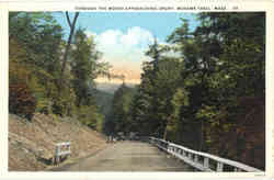 Through the Woods Approaching Drury Postcard