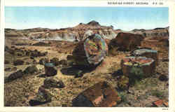 Petrified Forest Adamana, AZ Postcard Postcard