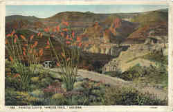 Painted Cliffs Postcard