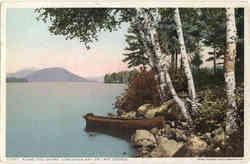 Along The Shore, Concordia Bay, On Lake George Postcard
