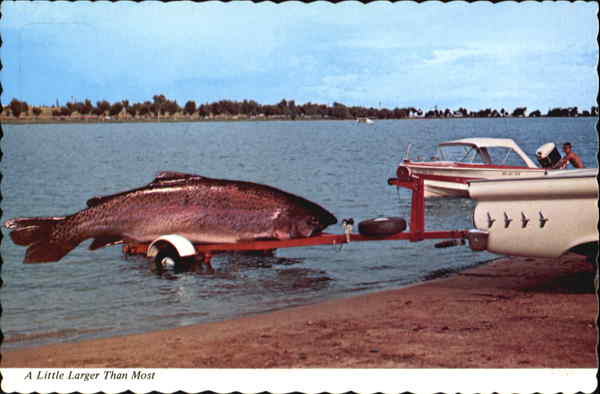 A Little Larger Than Most Exaggeration