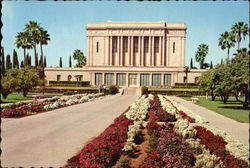 East View Of Mormon Temple, 525 East Main Mesa, AZ Postcard Postcard