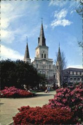 St. Louis Cathedral Postcard