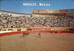 Bull Ring Nogales, SONORA Mexico Postcard Postcard
