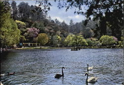 The Swam Sea Los Aposentes, Chimaltenango Postcard