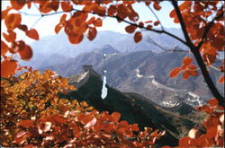 Stock #98919 Thumbnail